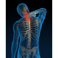 Module 1 Cervicalgie (partie 1)