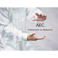 formation arts énergétiques chinois