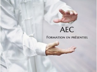 formation arts énergétiques chinois