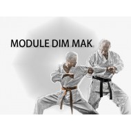 Module Dim Mak-4