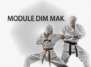 Module Dim Mak-8