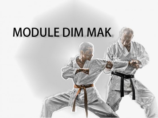 Module Dim Mak-4