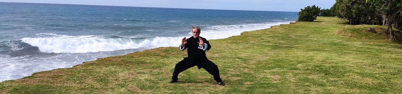 Qi Gong