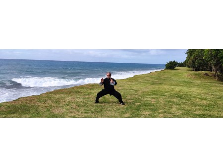 Formation Qi Gong 