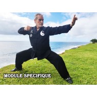 Les bases cachées du Kung Fu