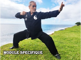 Module Dim Mak et Wing Chun