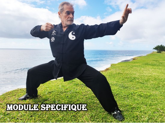 Module Dim Mak et Wing Chun