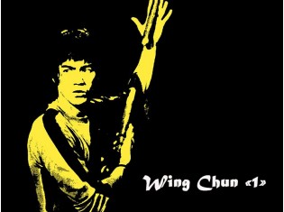 Module Wing Chun 1