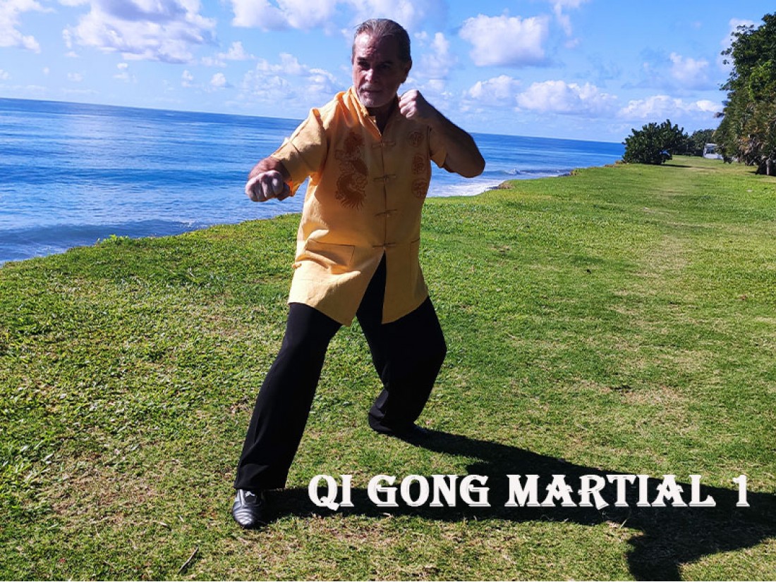 Module Qi Gong Martial 1 France Réunion