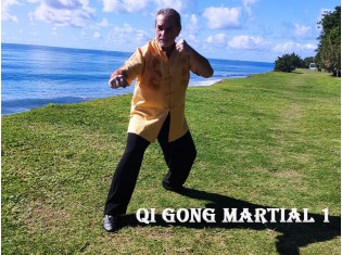 Module Qi Gong Martial 1