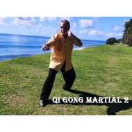Module Qi Gong Martial 2