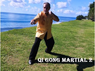 Module Qi Gong Martial 2