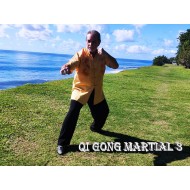 Module Qi Gong Martial 3