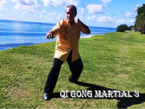 Module Qi Gong Martial 3