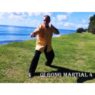 Module Qi Gong Martial 4