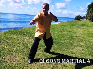 Module Qi Gong Martial 4