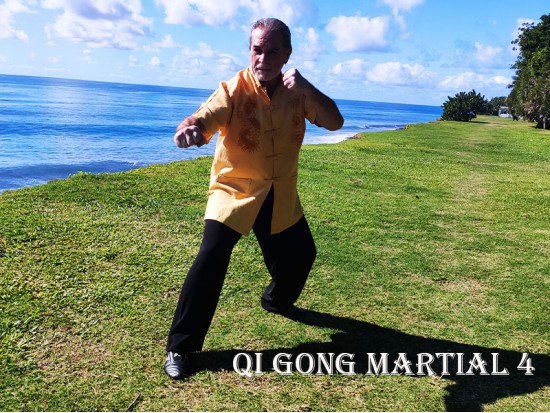 Module Qi Gong Martial 4