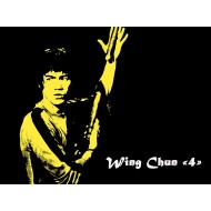 Module Wing Chun 4