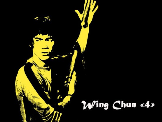 Module Wing Chun 4