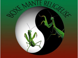 Module Mante Religieuse-2