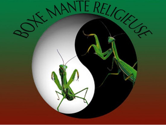 Module Mante Religieuse-1