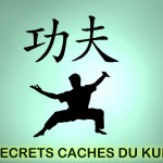 Les secrets du Kung Fu