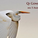 Qi Gong des 5 Animaux