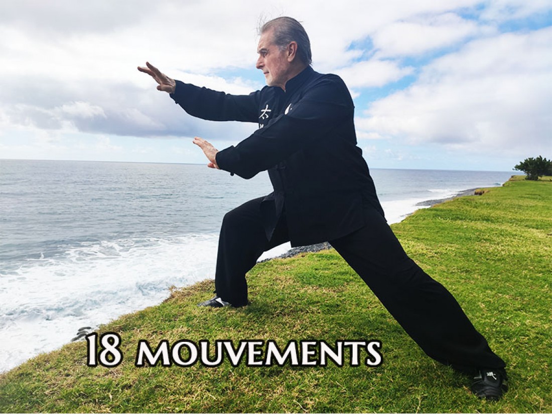 Qi Gong 18 mouvements France Réunion