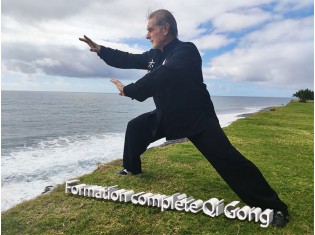  Formation qi gong en Présentiel