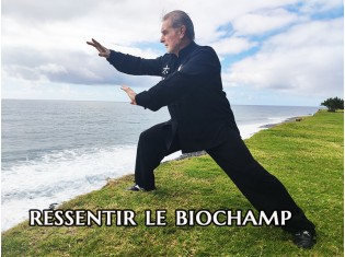 Ressentir le Biochamp