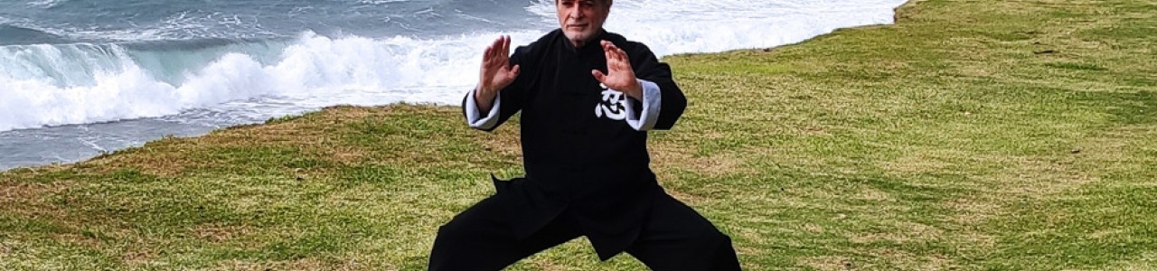 Modules Qi Gong