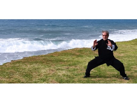 Qi Gong Martial